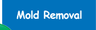 Mold Removal